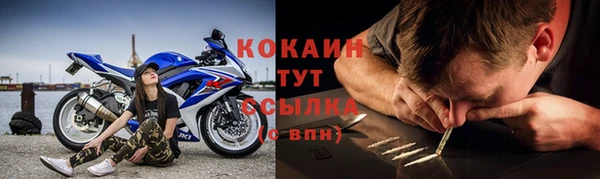 крисы Нея