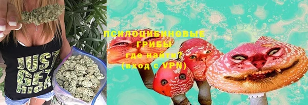 прущий лед Нефтекумск