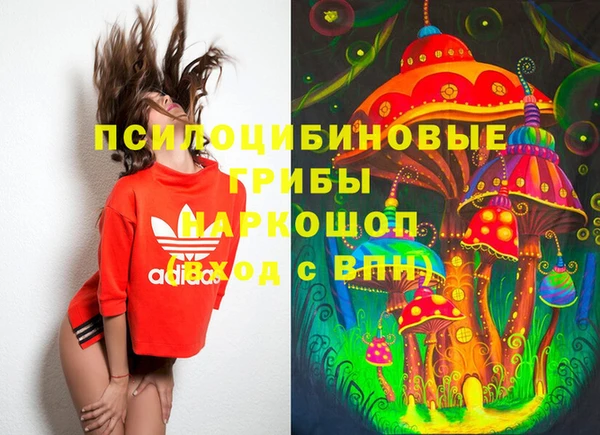 герыч Новодвинск