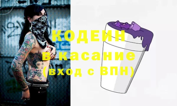 2c-b Новозыбков