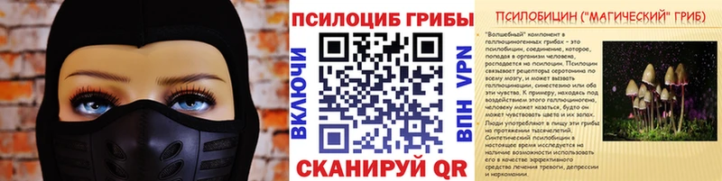 Галлюциногенные грибы Psilocybe  цена   Нерчинск 
